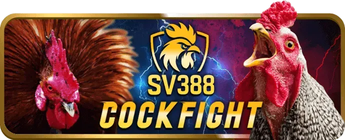 Đối tác cá nhân ju88 win